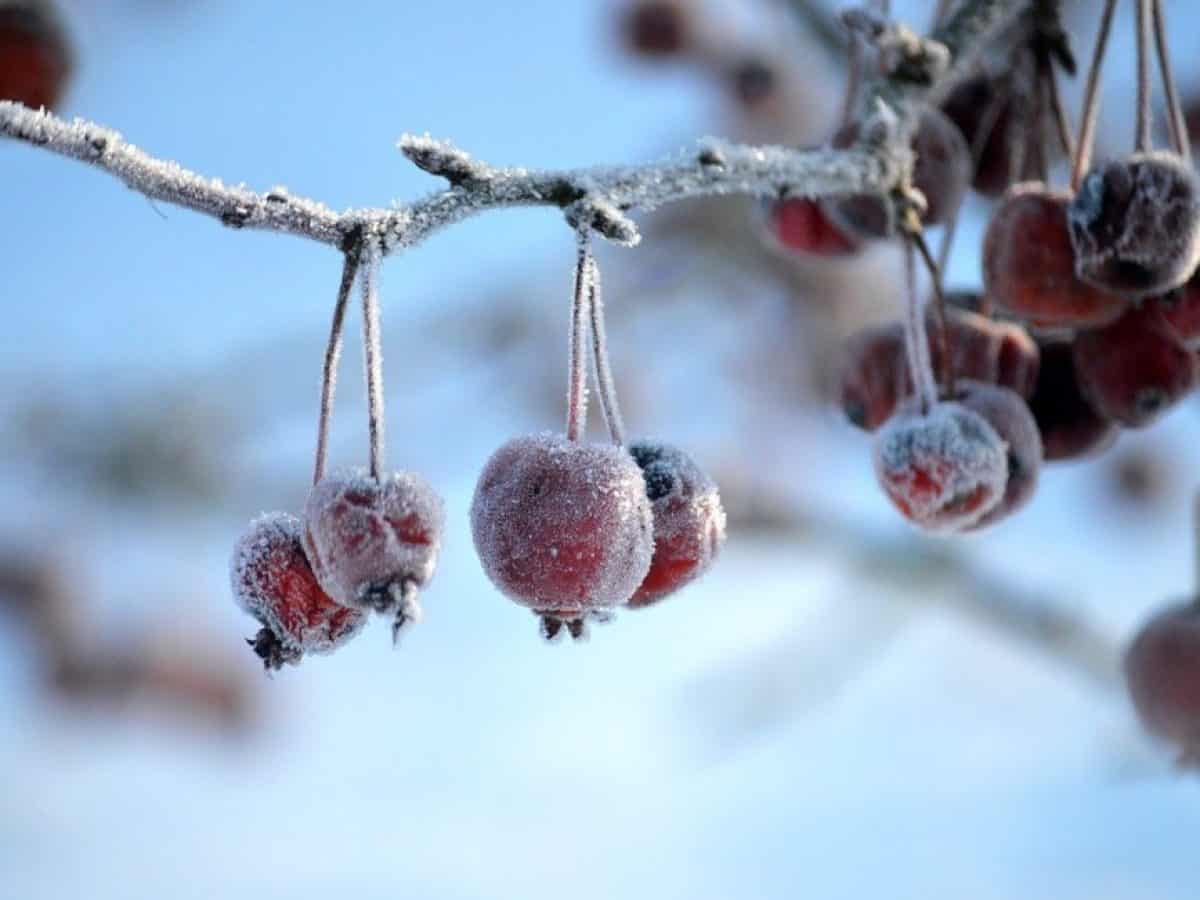 Αλλάζει η «μηχανή» του παγκόσμιου καιρού: Τέλος η La Niña, έρχεται El Niño – Τι σημαίνει για τον πλανήτη