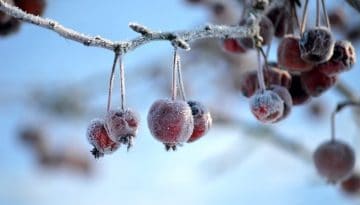 Αλλάζει η «μηχανή» του παγκόσμιου καιρού: Τέλος η La Niña, έρχεται El Niño – Τι σημαίνει για τον πλανήτη