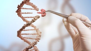 &Alpha;&nu;&alpha;&kappa;ά&lambda;&upsilon;&psi;&alpha;&nu; &laquo;&alpha;&nu;&alpha;&pi;&omicron;&delta;&omicron;&gamma;&upsilon;&rho;&iota;&sigma;&mu;έ&nu;&omicron;&raquo; DNA &pi;&omicron;&upsilon; &epsilon;&pi;&iota;&tau;&alpha;&chi;ύ&nu;&epsilon;&iota; &tau;&eta;&nu; &epsilon;&xi;έ&lambda;&iota;&xi;&eta; &ndash; &Sigma;&epsilon; &pi;&omicron;&iota;&omicron; &epsilon;ί&delta;&omicron;&sigmaf; &beta;&rho;έ&theta;&eta;&kappa;&epsilon;