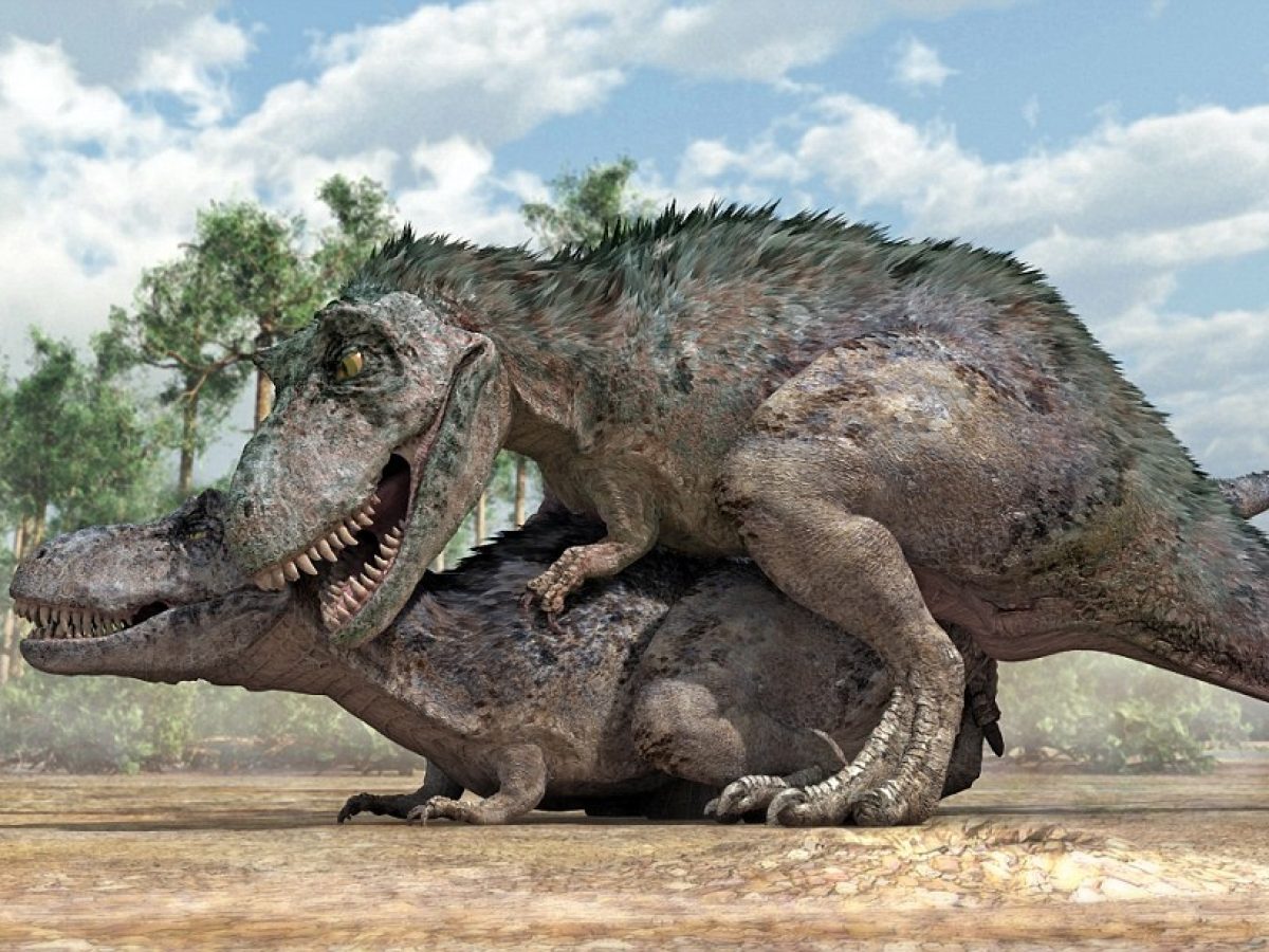 &Alpha;&nu;&alpha;&tau;&rho;&omicron;&pi;ή &gamma;&iota;&alpha; &tau;&omicron;&nu; T. rex: &Chi;&rho;&epsilon;&iota;ά&sigma;&tau;&eta;&kappa;&epsilon; 40 &chi;&rho;ό&nu;&iota;&alpha; &gamma;&iota;&alpha; &nu;&alpha; &phi;&tau;ά&sigma;&epsilon;&iota; &sigma;&tau;&omicron; &mu;έ&gamma;&iota;&sigma;&tau;&omicron; &mu;έ&gamma;&epsilon;&theta;ό&sigmaf; &tau;&omicron;&upsilon;