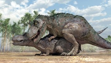 &Alpha;&nu;&alpha;&tau;&rho;&omicron;&pi;ή &gamma;&iota;&alpha; &tau;&omicron;&nu; T. rex: &Chi;&rho;&epsilon;&iota;ά&sigma;&tau;&eta;&kappa;&epsilon; 40 &chi;&rho;ό&nu;&iota;&alpha; &gamma;&iota;&alpha; &nu;&alpha; &phi;&tau;ά&sigma;&epsilon;&iota; &sigma;&tau;&omicron; &mu;έ&gamma;&iota;&sigma;&tau;&omicron; &mu;έ&gamma;&epsilon;&theta;ό&sigmaf; &tau;&omicron;&upsilon;