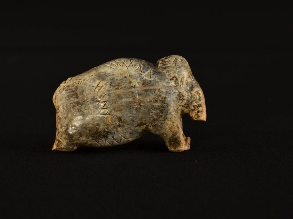 Χαράξεις σε χαυλιόδοντες μαμούθ αλλάζουν την ιστορία της γραφής – Ίσως ξεκίνησε 40.000 χρόνια νωρίτερα από ό,τι πιστεύαμε