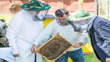 Δωρεάν ταχύρρυθμα προγράμματα κατάρτισης μελισσοκόμων