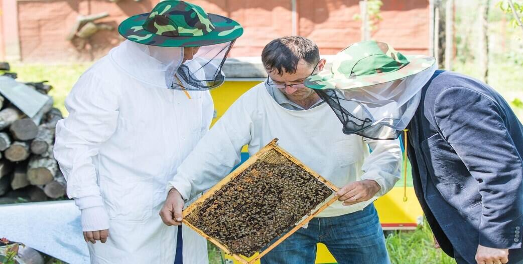 dorean-tachirrithma-programmata-katartisis-melissokomon