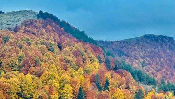 Δράσεις των Δασικών Υπηρεσιών Ηπείρου – Δυτικής Μακεδονίας για την Παγκόσμια Ημέρα Δασών