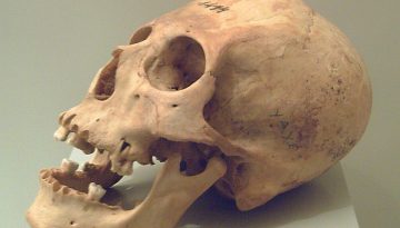 Επιστήμονες έλυσαν το μυστήριο με τα αρχαία «εξωγήινα» κρανία