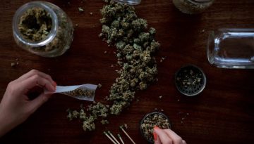 Φαρμακευτική κάνναβη για την ψυχική υγεία: Χρειάζεται περισσότερη έρευνα, καταλήγουν δύο νέες μελέτες