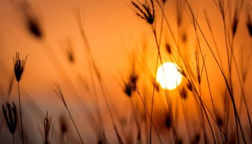 Η αύξηση της θερμοκρασίας ενδέχεται να προκαλέσει 700.000 επιπλέον θανάτους ετησίως έως το 2050