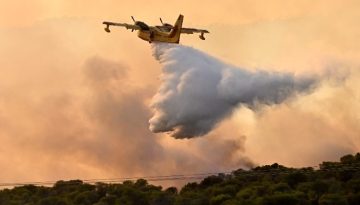 Η ΕΕ εγκαινιάζει νέα στρατηγική για την αντιμετώπιση της αυξανόμενης απειλής δασικών πυρκαγιών