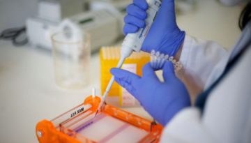 Μεταλλακτική κατάρρευση: Έρχεται το «ταβάνι» της κλωνοποίησης στα θηλαστικά