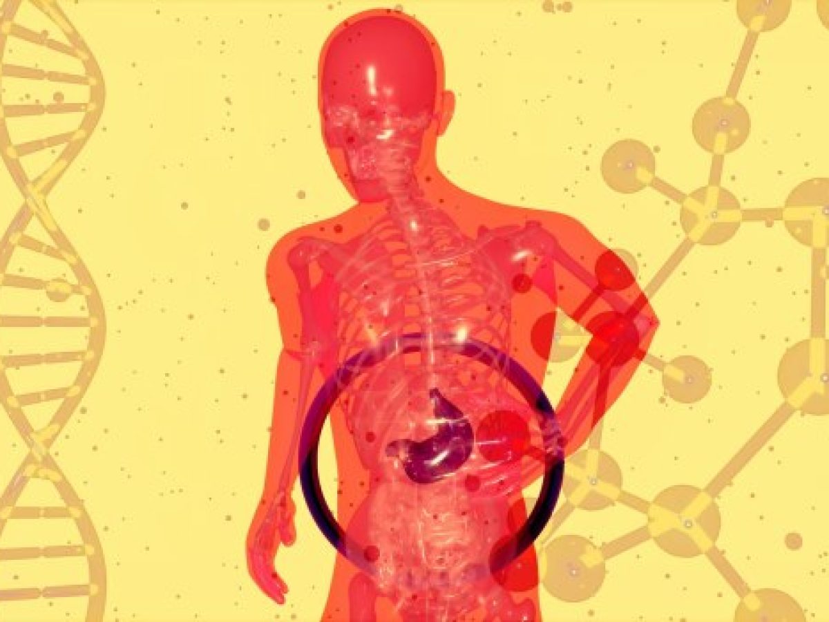 Μύθοι και αλήθειες: Όλα όσα πρέπει να ξέρουμε για τον μεταβολισμό