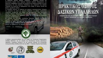 ΠΡΑΚΤΙΚΟΣ ΟΔΗΓΟΣ ΔΑΣΙΚΩΝ ΥΠΑΛΛΗΛΩΝ