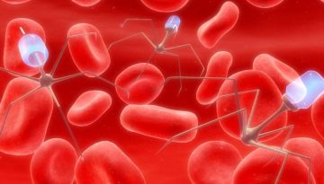 Ρομποτάκια DNA υπόσχονται επανάσταση στην ιατρική