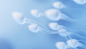 Σε κίνδυνο η αναπαραγωγή στο Διάστημα: Το σπερματοζωάριο «χάνει» τον προσανατολισμό του