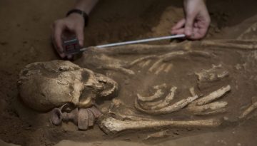 Σύφιλη πριν από την ιστορία: Ένας σκελετός 5.500 ετών αλλάζει όσα γνωρίζαμε για τις αρχαίες ασθένειες