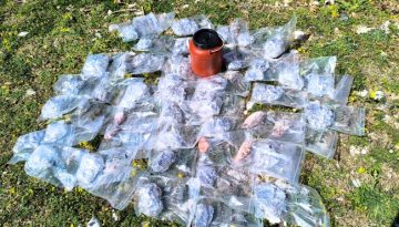 Σοβαρό περιβαλλοντικό έγκλημα στις πλαγιές του Γράμμου – Εντοπίστηκαν 157 δηλητηριασμένα δολώματα