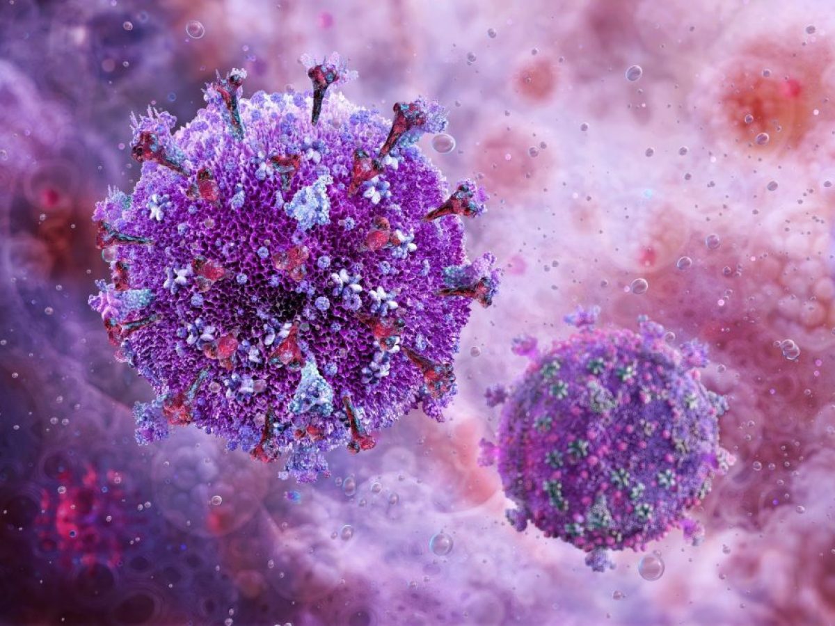 Θα ζήσουμε για πάντα; Πώς ένα γονίδιο από ζώο παρατείνει τη ζωή!