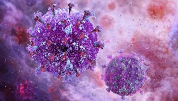 Θα ζήσουμε για πάντα; Πώς ένα γονίδιο από ζώο παρατείνει τη ζωή!