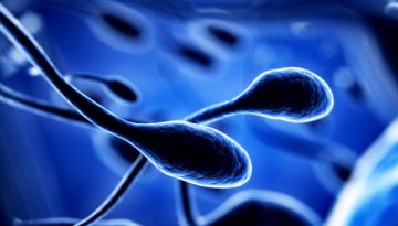 Ζωή πέρα από τη Γη: Μπορούμε να αναπαραχθούμε στη Σελήνη και τον Άρη;