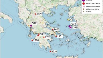 2025: Έτος-ρεκόρ για τις δασικές πυρκαγιές στην Ευρώπη – Στο «κόκκινο» και η Ελλάδα
