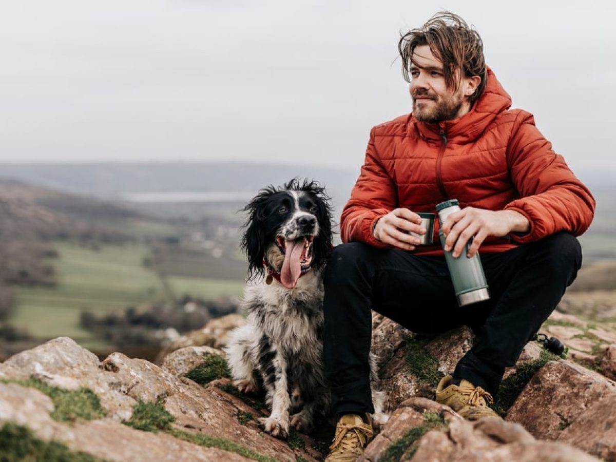 Νέες έρευνες ρίχνουν φως στο παρελθόν του σκύλου