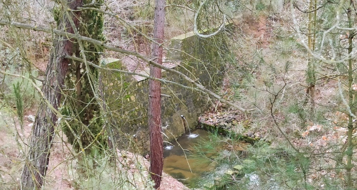 se-pliri-litourgia-i-prasini