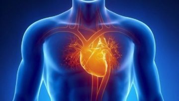 Συνέδριο από την Ελληνική Καρδιολογική Εταιρεία στις 24 και 25 Απριλίου στη Λειβαδιά