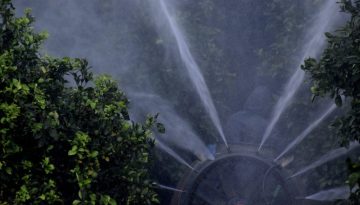 Ανησυχητική έρευνα για τα φυτοφάρμακα και τον κίνδυνο εμφάνισης καρκίνου