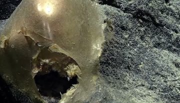 Αποκαλύφθηκε η ταυτότητα της χρυσής σφαίρας που εντοπίστηκε στην άβυσσο του ωκεανού – Άναυδοι έμειναν οι επιστήμονες