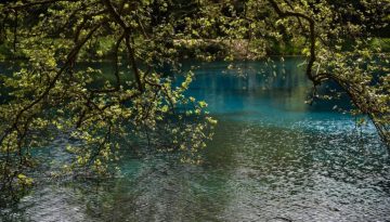 Natura 2000: Εγκρίθηκε νέα Ειδική Περιβαλλοντική Μελέτη για Ήπειρο και Δυτική Μακεδονία