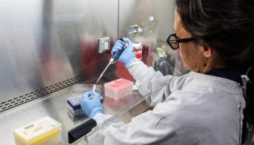 Χανταϊός: Πώς η κλιματική αλλαγή ευνοεί την εξάπλωση του ιού