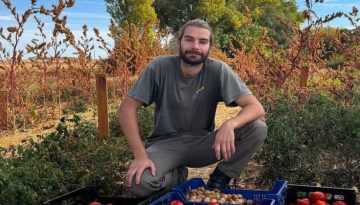 Ισπανός Αγρότης καλλιέργησε ποικιλία ντομάτας του 1916 – Διάσωση παραδοσιακών σπόρων & αναβίωση αυθεντικής γεύσης