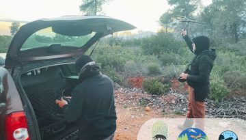 Δράσεις του έργου LIFE Wild Wolf για την αντιμετώπιση των περιστατικών ισχυρής εξοικείωσης λύκων στη προστατευόμενη περιοχή της Πάρνηθας