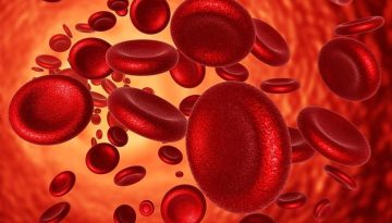 Επανάσταση στην ιατρική: Η τεχνική «click clotting» σταματά την αιμορραγία σε δευτερόλεπτα