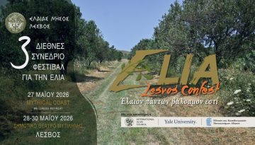 Ο ελαιώνας ως γέφυρα πολιτισμού, γαστρονομίας και βιώσιμου τουρισμού