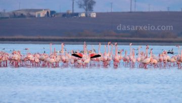 Ο ΟΦΥΠΕΚΑ γιορτάζει την Ευρωπαϊκή Ημέρα Natura 2000