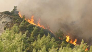 &Tau;&omicron; &kappa;&alpha;&lambda;&omicron;&kappa;&alpha;ί&rho;&iota; &delta;&omicron;&kappa;&iota;&mu;ά&zeta;&epsilon;&iota; &tau;&eta;&nu; &epsilon;&tau;&omicron;&iota;&mu;ό&tau;&eta;&tau;&alpha; &tau;&eta;&sigmaf; &Epsilon;&lambda;&lambda;ά&delta;&alpha;&sigmaf; &ndash; dasarxeio.com