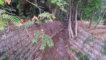 Εκδηλώσεις στη Ρεματιά Χαλανδρίου στα πλαίσια της Παγκόσμιας Ημέρας Περιβάλλοντος