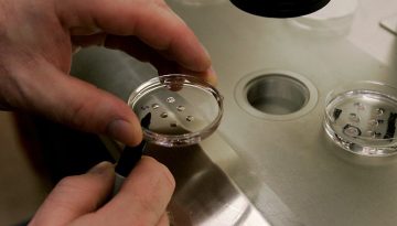 Επιστημονική πρωτιά: Eπεξεργάστηκαν με ακρίβεια μεμονωμένα γονίδια ανθρώπινων εμβρύων