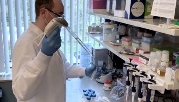 &Nu;έ&omicron; &mu;&omicron;&rho;&iota;&alpha;&kappa;ό &tau;&epsilon;&sigma;&tau; &gamma;&iota;&alpha; &tau;&omicron;&nu; HPV &ndash; &Eta; &gamma;&upsilon;&nu;&alpha;ί&kappa;&alpha; &theta;&alpha; &lambda;&alpha;&mu;&beta;ά&nu;&epsilon;&iota; &mu;ό&nu;&eta; &tau;&eta;&sigmaf; &tau;&omicron; &delta;&epsilon;ί&gamma;&mu;&alpha; &kappa;&alpha;&iota; &theta;&alpha; &tau;&omicron; &sigma;&tau;έ&lambda;&nu;&epsilon;&iota; &sigma;&tau;&omicron; &epsilon;&rho;&gamma;&alpha;&sigma;&tau;ή&rho;&iota;&omicron;