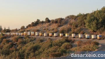 ΟΜΣΕ: «Δε θα είναι οι μελισσοκόμοι τα εξιλαστήρια θύματα για τις φωτιές αυτό το καλοκαίρι!»