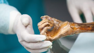 Από την Εποχή του Χαλκού στο σήμερα: Ψωμί με μαγιά από έντερα μούμιας παρασκεύασαν επιστήμονες