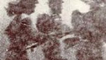 Η ΕΛΔΥΚ στις μάχες το 1974: 105 αξιωματικοί και οπλίτες της θυσιάστηκαν