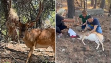 &Epsilon;&pi;&iota;&chi;&epsilon;ί&rho;&eta;&sigma;&eta; &alpha;&pi;&epsilon;&gamma;&kappa;&lambda;&omega;&beta;&iota;&sigma;&mu;&omicron;ύ &pi;&lambda;&alpha;&tau;&omega;&nu;&iota;&omicron;ύ &sigma;&tau;&eta; &nu;ή&sigma;&omicron; &Mu;&omicron;&nu;ή &Alpha;ί&gamma;&iota;&nu;&alpha;&sigmaf; &ndash; dasarxeio.com