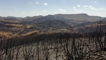 &Eta; &Epsilon;&Lambda;&Lambda;&Eta;&Nu;&Iota;&Kappa;&Eta; &Pi;&Upsilon;&Rho;&Omicron;&Sigma;&Beta;&Epsilon;&Sigma;&Tau;&Iota;&Kappa;&Eta;&hellip; &Xi;&Omicron;&Delta;&Epsilon;&Upsilon;&Omicron;&Nu;&Tau;&Alpha;&Sigma; &Kappa;&Alpha;&Iota; &Pi;&Epsilon;&Rho;&Iota;&Mu;&Epsilon;&Nu;&Omicron;&Nu;&Tau;&Alpha;&Sigma; &Tau;&Eta;&Nu; &Nu;&Epsilon;&Alpha; &Sigma;&Upsilon;&Mu;&Phi;&Omicron;&Rho;&Alpha; &ndash; dasarxeio.com