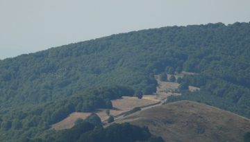 Προστατευόμενο τοπίο ο ορεινός όγκος Βιτσίου – Ικανοποίηση εκφράζει η «Καλλιστώ» – ertnews.gr