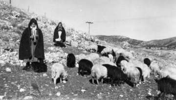 &Eta; &pi;&omicron;&iota;&mu;&epsilon;&nu;&iota;&kappa;ή &zeta;&omega;ή &tau;&eta;&sigmaf; &delta;&epsilon;&kappa;&alpha;&epsilon;&tau;ί&alpha;&sigmaf; &tau;&omicron;&upsilon; ΄50 &laquo;&mu;&iota;&lambda;ά&epsilon;&iota;&raquo; &mu;έ&sigma;&alpha; &alpha;&pi;ό &tau;&omicron; &alpha;&rho;&chi;&epsilon;ί&omicron; &tau;&omicron;&upsilon; &Chi;. &Alpha;&rho;&alpha;&beta;&alpha;&nu;&tau;&iota;&nu;&omicron;ύ &pi;&omicron;&upsilon; &pi;&alpha;&rho;&alpha;&chi;&omega;&rho;ή&theta;&eta;&kappa;&epsilon; &sigma;&tau;&eta;&nu; &Epsilon;&lambda;&lambda;&eta;&nu;&iota;&kappa;ή &Lambda;&iota;&beta;&alpha;&delta;&omicron;&pi;&omicron;&nu;&iota;&kappa;ή &Epsilon;&tau;&alpha;&iota;&rho;ί&alpha; &ndash; dasarxeio.com
