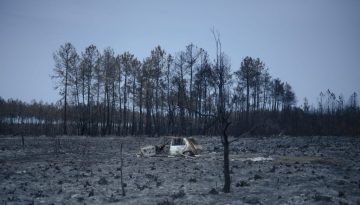 &Gamma;&iota;&alpha;&tau;ί &omicron;&iota; &kappa;&alpha;ύ&sigma;&omega;&nu;&epsilon;&sigmaf; &gamma;ί&nu;&omicron;&nu;&tau;&alpha;&iota; &sigma;&upsilon;&chi;&nu;ό&tau;&epsilon;&rho;&omicron;&iota; &sigma;&tau;&eta; &Delta;&upsilon;&tau;&iota;&kappa;ή &Epsilon;&upsilon;&rho;ώ&pi;&eta;; &ndash; ertnews.gr