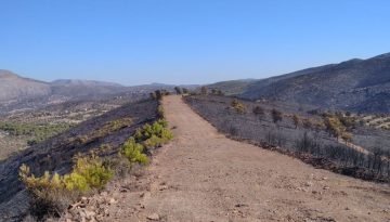 &Pi;&upsilon;&rho;&omicron;&sigma;&beta;&epsilon;&sigma;&tau;&iota;&kappa;ό &Sigma;ώ&mu;&alpha;: &Delta;&iota;&epsilon;&upsilon;&kappa;&rho;&iota;&nu;ί&sigma;&epsilon;&iota;&sigmaf; &gamma;&iota;&alpha; &tau;&iota;&sigmaf; &alpha;&nu;&tau;&iota;&pi;&upsilon;&rho;&iota;&kappa;έ&sigmaf; &zeta;ώ&nu;&epsilon;&sigmaf; &sigma;&tau;&eta; &Delta;&upsilon;&tau;&iota;&kappa;ή &Alpha;&tau;&tau;&iota;&kappa;ή &ndash; dasarxeio.com