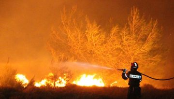 &Tau;&omicron; &laquo;&phi;ύ&lambda;&lambda;&omicron; &pi;&omicron;&rho;&epsilon;ί&alpha;&sigmaf;&raquo; 900 &upsilon;&pi;&alpha;&lambda;&lambda;ή&lambda;&omega;&nu; &tau;&omicron; 1998 &pi;&omicron;&upsilon; ά&lambda;&lambda;&alpha;&xi;&epsilon; &tau;&omicron;&nu; &tau;&rho;ό&pi;&omicron; &alpha;&nu;&tau;&iota;&mu;&epsilon;&tau;ώ&pi;&iota;&sigma;&eta;&sigmaf; &tau;&omega;&nu; &delta;&alpha;&sigma;&iota;&kappa;ώ&nu; &pi;&upsilon;&rho;&kappa;&alpha;&gamma;&iota;ώ&nu; &sigma;&tau;&eta;&nu; &Epsilon;&lambda;&lambda;ά&delta;&alpha; &ndash; dasarxeio.com